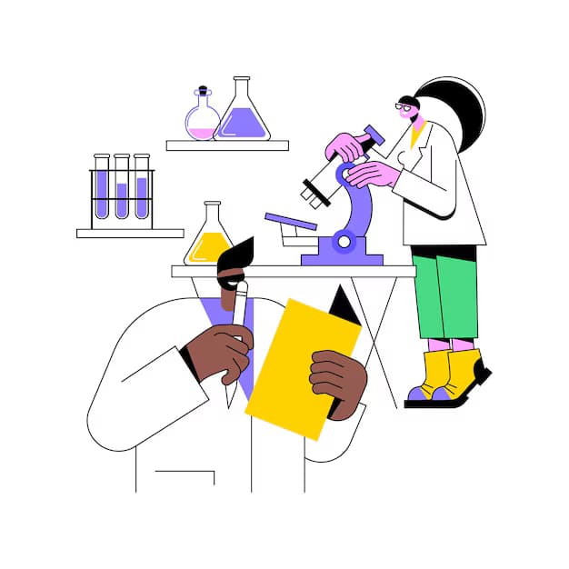 For Researchers